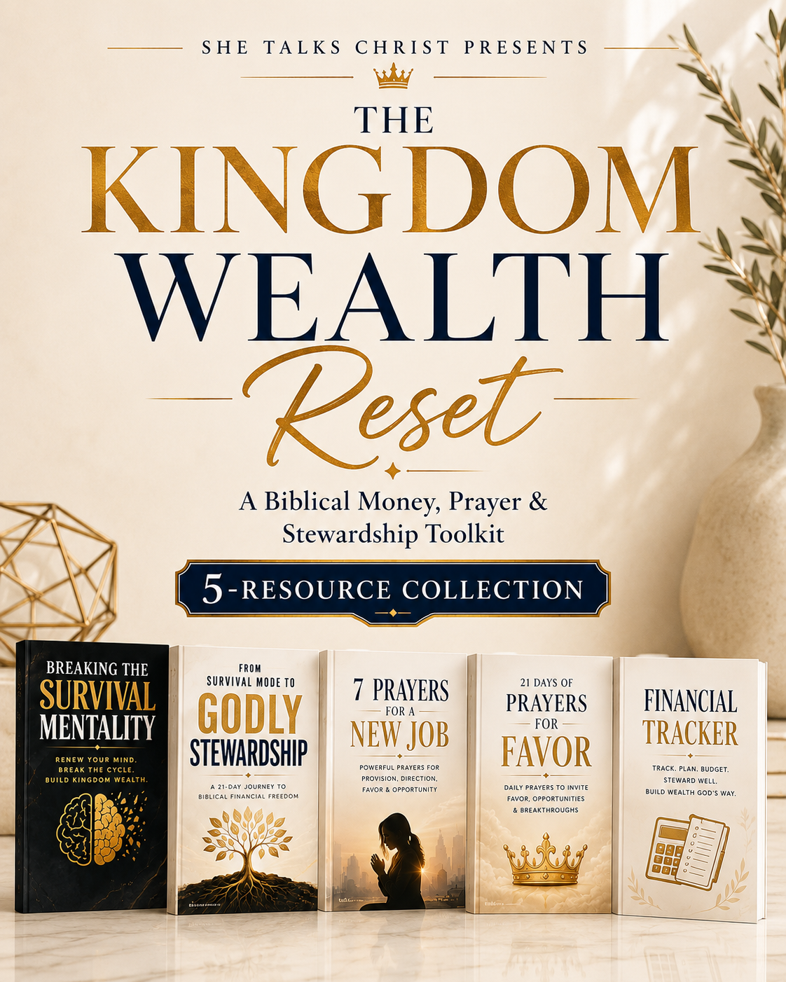 THE KINGDOM WEALTH RESET:A Biblical Money, Prayer & Stewardship Toolkit